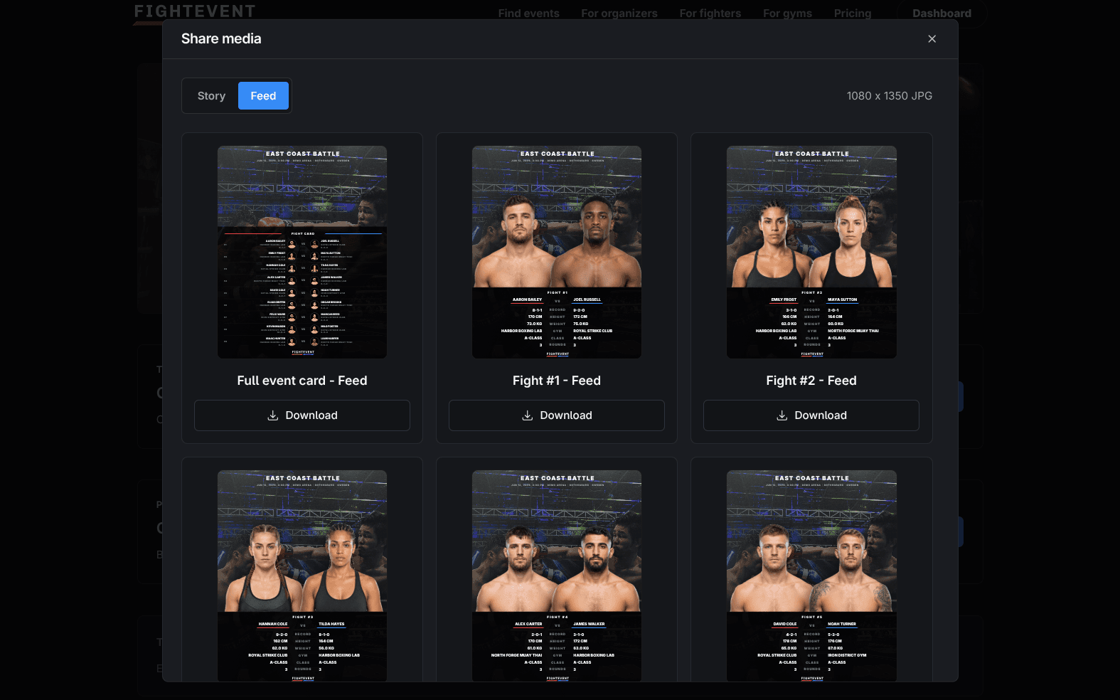 FightEvent generated event poster preview